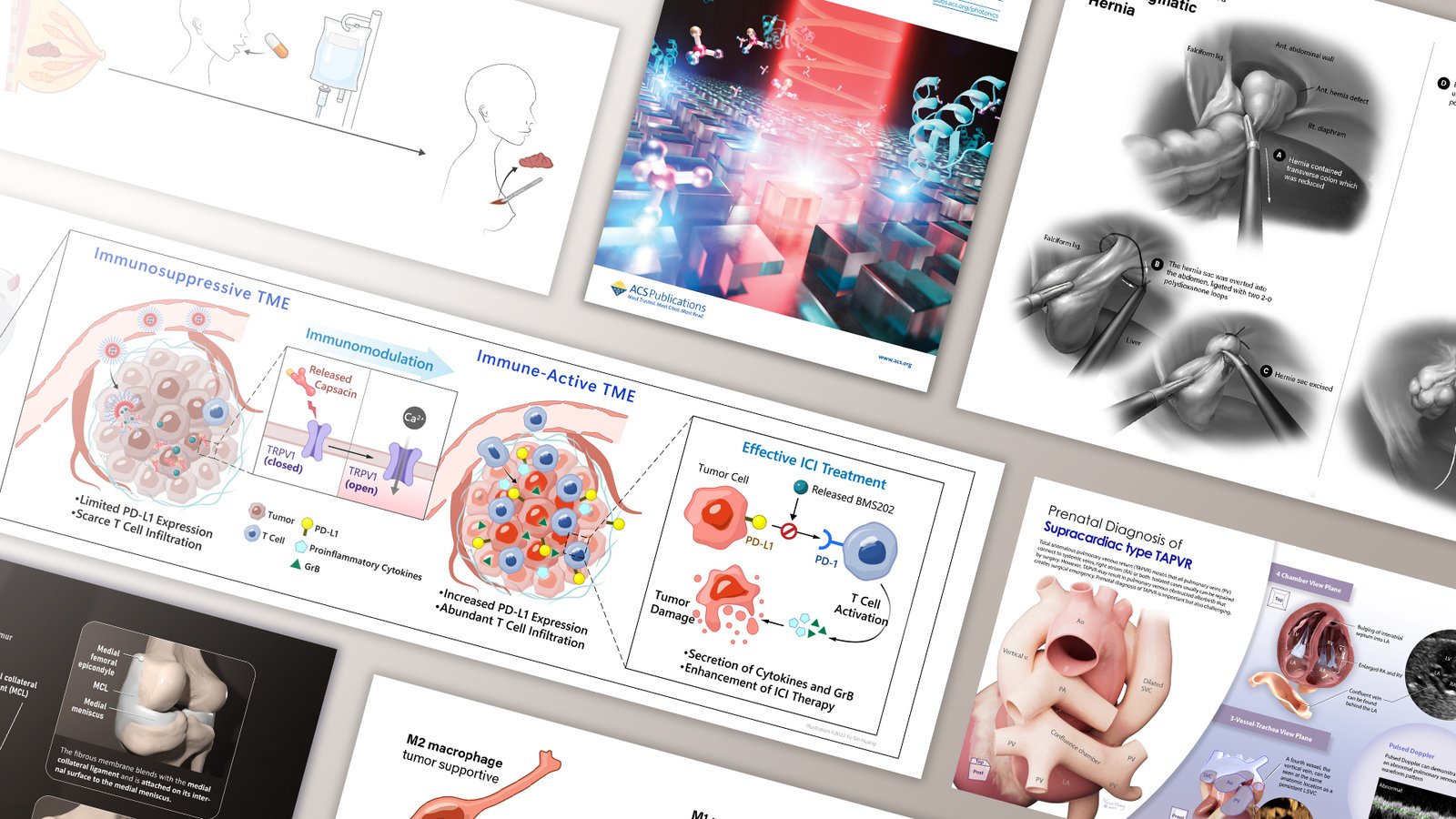 About UThink - Visualizing Biomedical Science